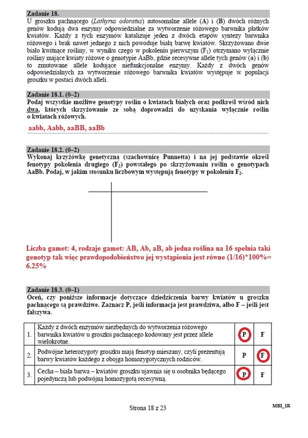Matura 2015 z biologii: Arkusze i rozwiązania dla liceum CKE /