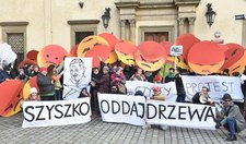 "Czysty protest" w Krakowie