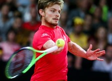 David Goffin odpadł w ćwierćfinale turnieju ATP w Metz 