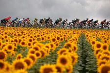 Decydujący etap Tour de France. Kwiatkowski błyśnie w czasówce?