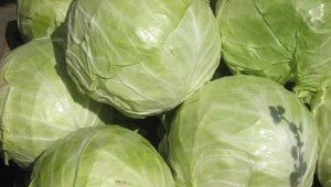 Dieta kapuściana
