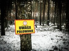 Dzieci jednak będą mogły uczestniczyć w polowaniach?