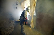 ​Dziesięć istotnych pytań i odpowiedzi na temat wirusa Zika 