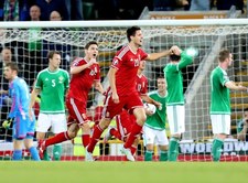 El. Euro 2016. Irlandia Północna - Węgry 1-1