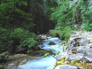 ....... gardlo do CZELUSCI PIEKIELNYCH .... czyli 