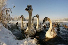 Grudzień'12 i styczeń'13