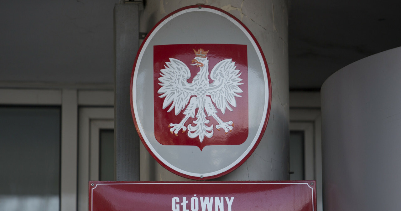 GUS Ceny skupu podstawowych produktów rolnych wzrosły o 31 4 proc