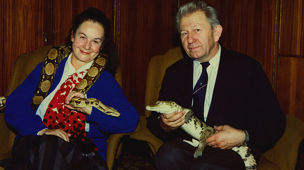 Oglądała ich cała Polska Hanna i Antoni Gucwińscy / /AKPA