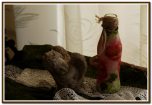 httphttp://romahandmade.blogspot.com/2012/01/maki-i-maczki.html ://romahandmade.blogspot.com/2012/01/maki-i-maczki.html 