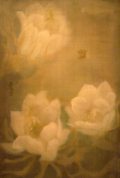 hydrangea(sold)