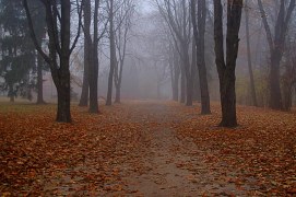 Jesienne mgły - konkurs (31.10)