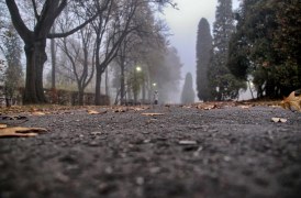 Jesienne mgły - konkurs (31.10)