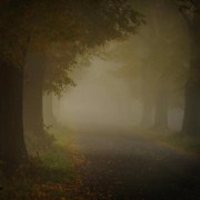 Jesienne mgły - po wstępnej selekcji
