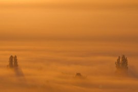 Jesienne mgły - po wstępnej selekcji