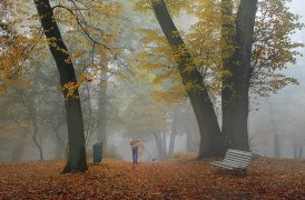 Jesienne mgły - rozstrzygnięcie konkursu