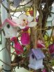 Keukenhof 2012: Polska - Sercem Europy