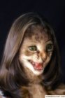 Kocia