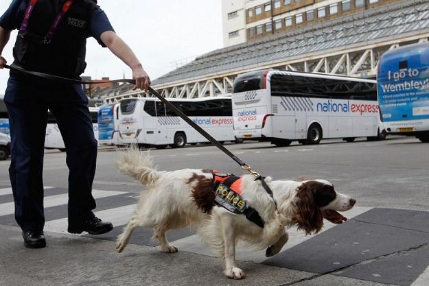 Pociąg w ogniu na londyńskiej Victoria station Kontrola policyjna na Victoria Station /AFP/Agencja FORUM