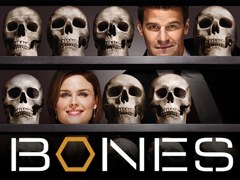 Kości (Bones)