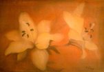 Lily(sold)