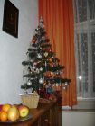 Magiczne miasto
