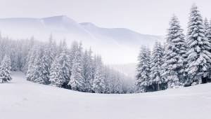 Małopolska: Odmrożone stopy i hipotermia u 24-latki