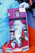 Małpa, która poleciała w kosmos