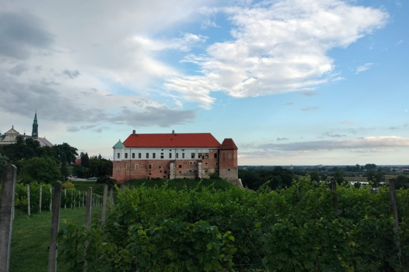 Polska Na W Asne Oczy Sandomierz Skrywa Zabytk W