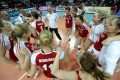 Najciekawsze fragmenty boju Polska - Rosja (3:2)