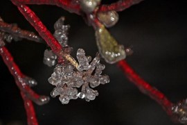 Najlepsze zdjęcia grudzień - styczeń