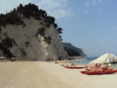 NUMANA 2011