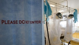 Owadożerne nietoperze źródłem epidemii eboli