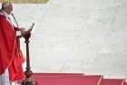 Papież: Dziki kapitalizm wpoił logikę zysku za wszelką cenę 