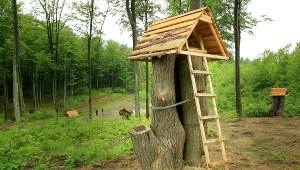 Park pachnicowy