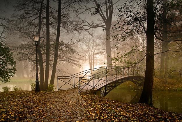 Jesienne mgły - konkurs fotograficzny Park Zamkowy w Pszczynie, fot. Prajzner /East News