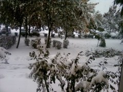 pierwszy śnieg