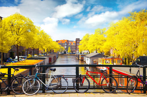 Po Amsterdamie najlepiej poruszać się na rowerze /123/RF PICSEL