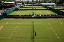 Polacy walczą na kortach Wimbledonu! Piter odpadła