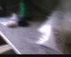 Policjanci odkryli 46 kg narkotyków