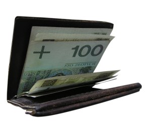 Polska na razie nie przyjmie euro /sxc.hu