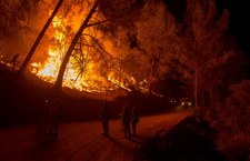Pożary w Kalifornii. Tysiące osób ewakuowano