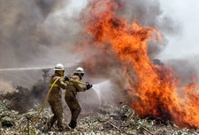 Pożary w Portugalii. Władze ogłosiły żałobę narodową