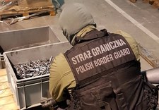 Poznań: Udaremniono wywóz broni z lotniska