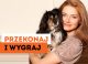 Przekonaj nieprzekonanych: konkurs z adopcją w tle