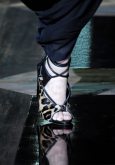 Roberto Cavalli detale