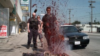 Rok temu piękną kalifornijską dolinę San Fernando niespodziewanie zaatakowały sfory agresywnych wilkołaków, zabójczo sprytnych wampirów i żądnych krwi zombie. Policja federalna musiała stanąć na wysokości zadania – powstał specjalny Oddział Waki Z Nieumarłymi. Od tamtej pory odważni, choć nierozważni policjanci próbują złapać potwory i ocalić ulice San Fernando od niepożądanych stworów z piekła rodem. Ich śladami podąża wścibska ekipa telewizyjna…