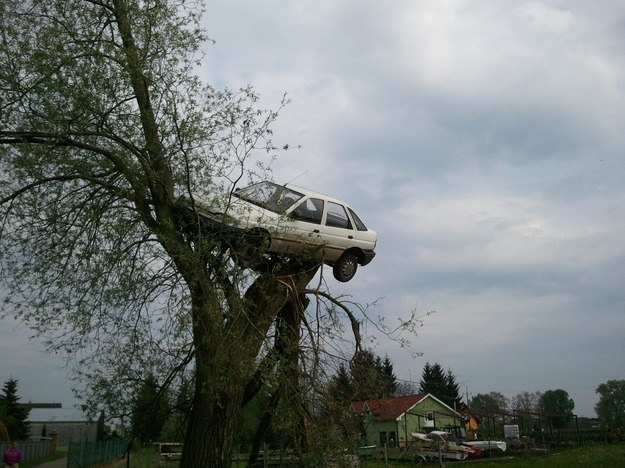 Samochód na drzewie. Zdjęcie dzięki uprzejmości mieszkańców Lubczyna /