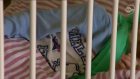 Samochód potrącił 4-letnią dziewczynkę