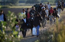 Setki imigrantów maszerują w stronę Szwecji