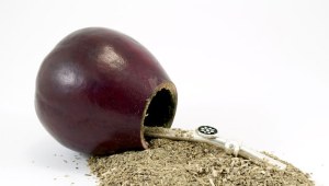 Składniki yerba mate mają działanie przeciwnowotworowe